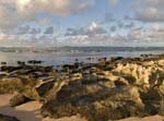 exh-25_oahu_volcanic_shore