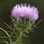everything