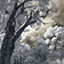 Hawaii Infrared Photos